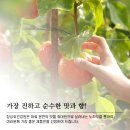 축령산건강원