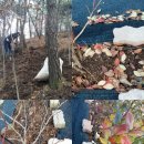 목골농장 이미지