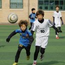 숭곡초등학교 Daum카페