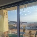 로젤 147 이미지