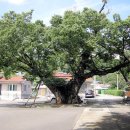 오천리경로당 이미지