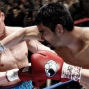 럼블 복싱 이미지