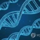 이지사이언스