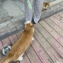 2023. 9. 2주 차. 2박 3일 양양 여행ㅣ낙산 해수욕장ㅣ뚜벅이
