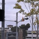 스패너자동차공업사 | [내돈내산] 부산 기장 신세계아울렛 리뉴얼 안내 &amp; 레고 구매후기(f.48개월아기)