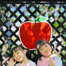 행복이들과 부천어린이식품안전체험관-1🍀 이미지