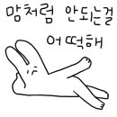 ACE골프연습장 이미지