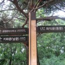 세계유산코스 Daum카페