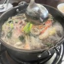 도토리군버섯양 이미지