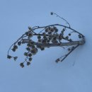 신신여인숙 이미지