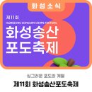 구송산 | 2025 화성 송산포도축제 일정·주차·체험프로그램 총정리
