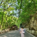 내원사계곡(내원사) 이미지