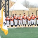 향남 야구장 야구장 이미지