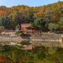 동해사슴목장 이미지