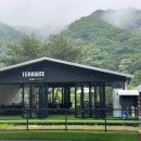 어비 포레스트 이미지