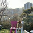 동부산팜 이미지