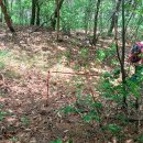 칠곡1리 경로당 이미지