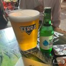 진짜노가리호프 | 을지로 야장 추천 | 노가리골목 만선호프 내돈내산 후기