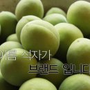 매실(maesil) 이미지