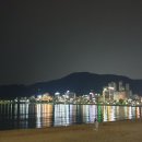 꼬리치는장어;산곰장어