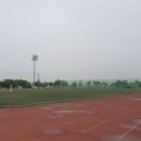 백석생활체육공원 야구장 이미지