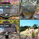 284m 진산 백화산 정상에 우뚝서다