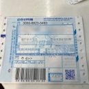 동일청과 | 제주 동문시장 내돈내산 찐 맛집 천혜향 오메기떡 동서청과 진아떡집