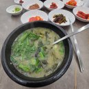 영월식당 - 정선군 | 강원도 영월 청령포 다슬기해장국 성호식당 후기