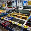 수산물직판장11호 이미지