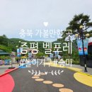 증평카 | 충북 가볼만한곳 증평 벨포레놀이동산