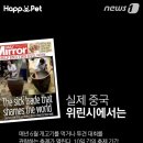 펫나라 이미지