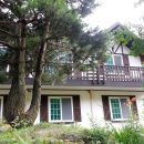 숲속계곡 쉴만한물가 이미지