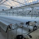 무주농장 이미지