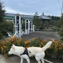 주수1리 이미지