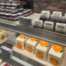 이화메디약국 | 개화. 3월