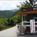 반선마을내 네이버블로그