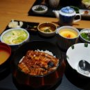 치카라우나기 이미지