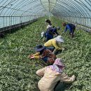 대소면행정복지센터 이미지