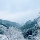 눈과 함께 이미지