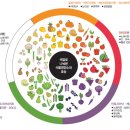 신흥야채 이미지