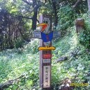 무학산 둘레길 이미지