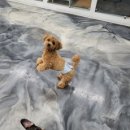 맡기고가개 이미지