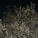 첨단체육공원(운동장) 이미지