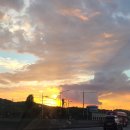 금빛농원 이미지