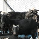 김정호 농장 이미지