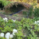 천일농장 이미지