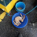 연세스타수산 이미지