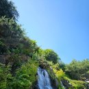 셀메드단골약국 이미지