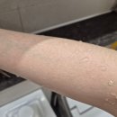 코코앤홈 | 호텔수건 왜 좋은지 알겠어요… 코마사 타월 코코데코 써본 솔직 후기