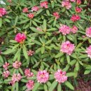 뉴신도공인중개사사무소 이미지